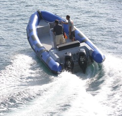 Neuvisa Tarpon DV