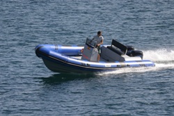 Neuvisa Tarpon DV