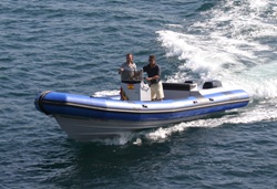 Neuvisa Tarpon DV
