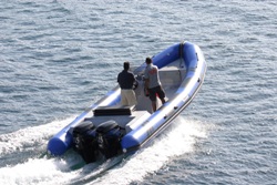 Neuvisa Tarpon DV