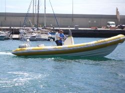 Neuvisa Tarpon DV