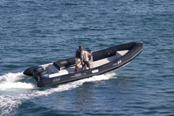 Neuvisa Tarpon DV