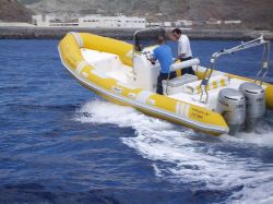 Neuvisa Tarpon DV