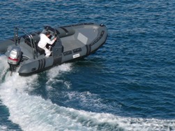 Neuvisa Tarpon DV